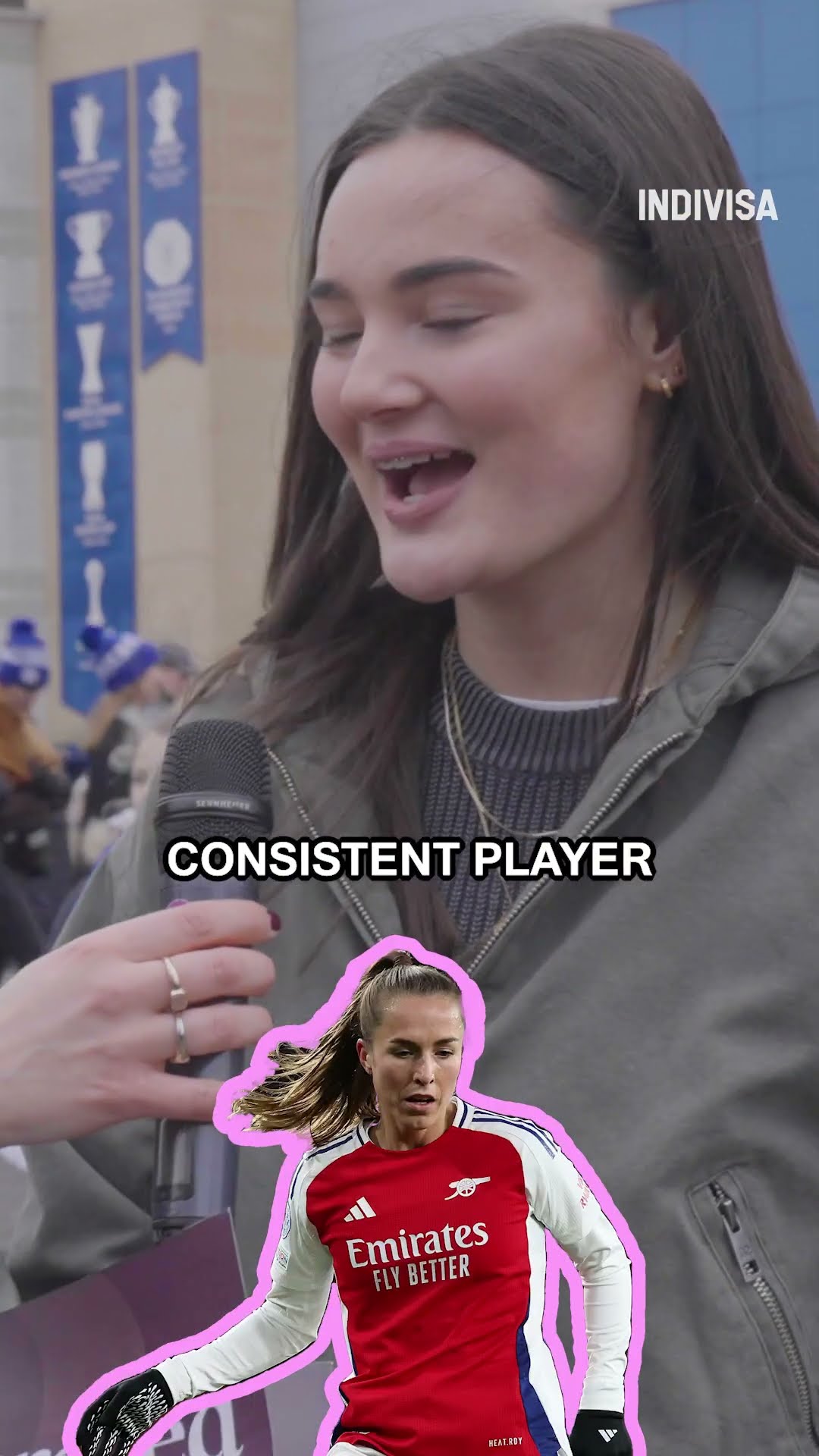 維迪奇以他 維迪奇以他