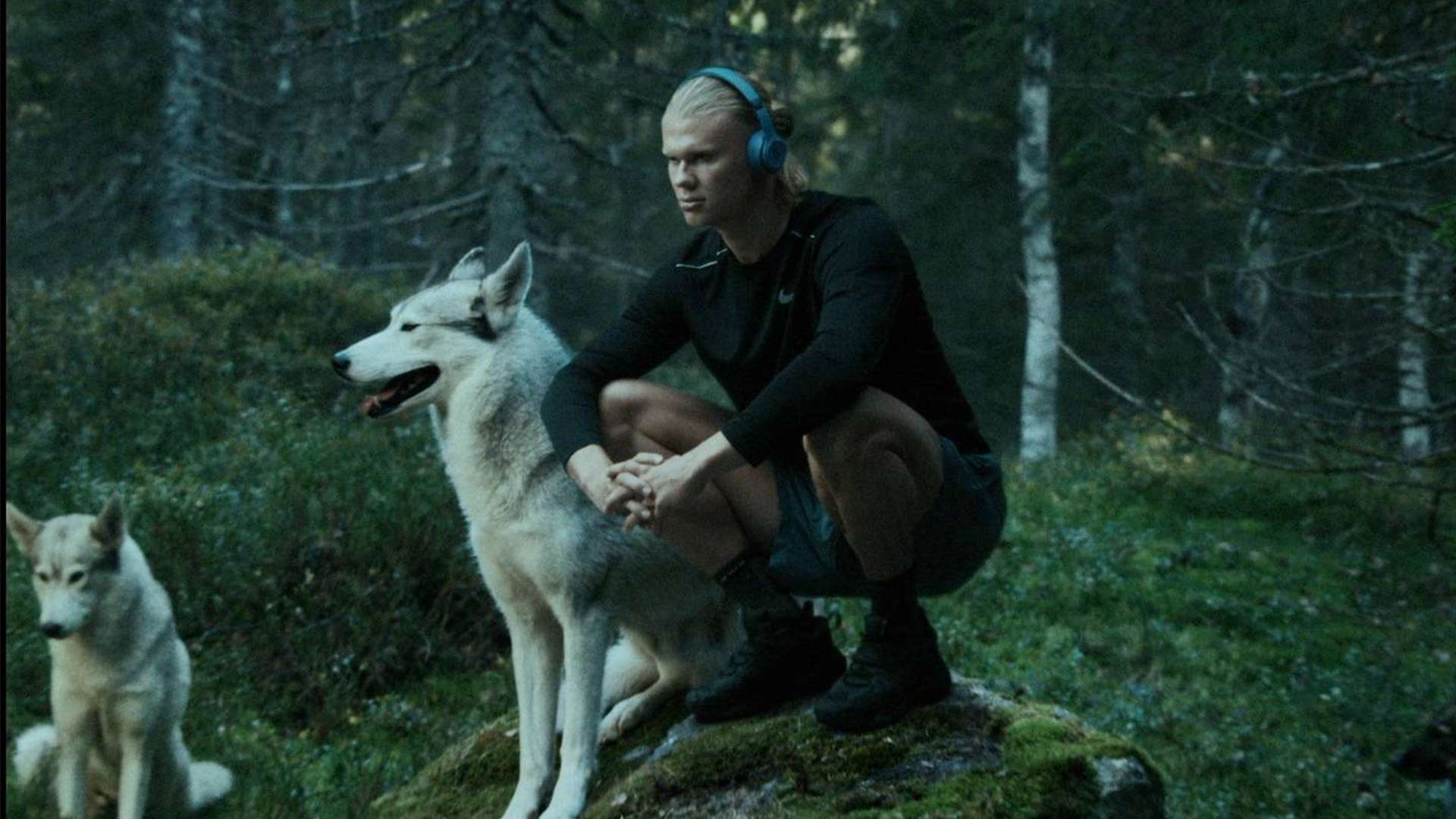 比賽變數 比賽變數