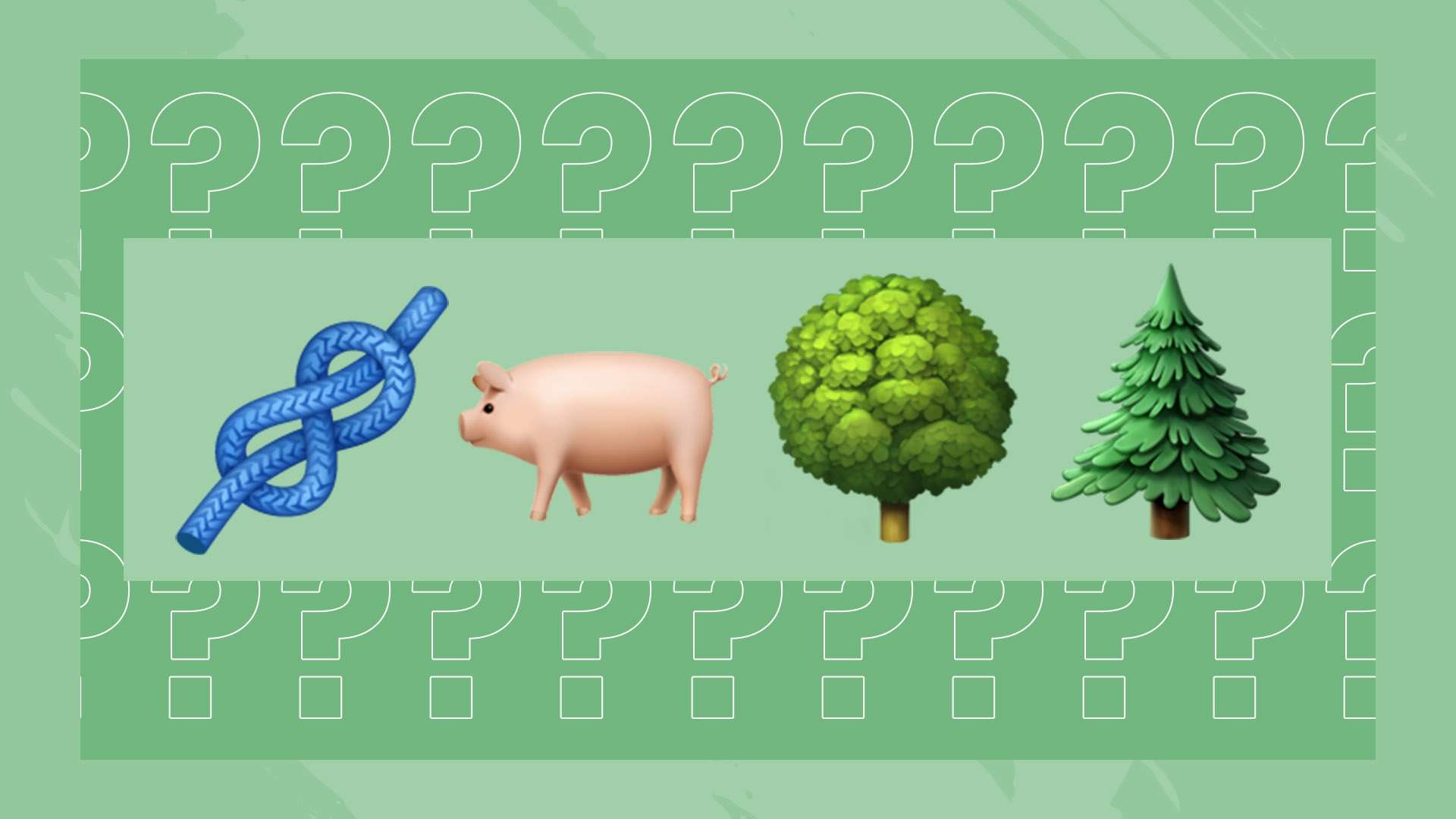 的梦想与期 的梦想与期